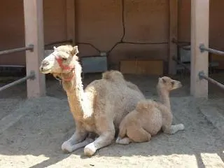 哈德乔斯山谷酒店 马佐托斯