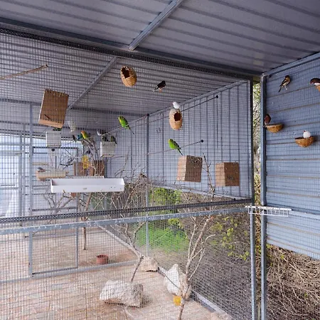 哈德乔斯山谷酒店 别墅 *