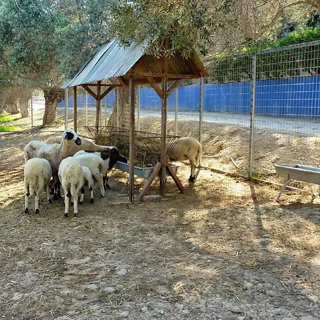 Hadjios Valley Villa *