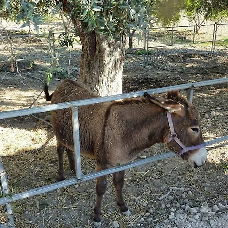 Hadjios Valley Villa