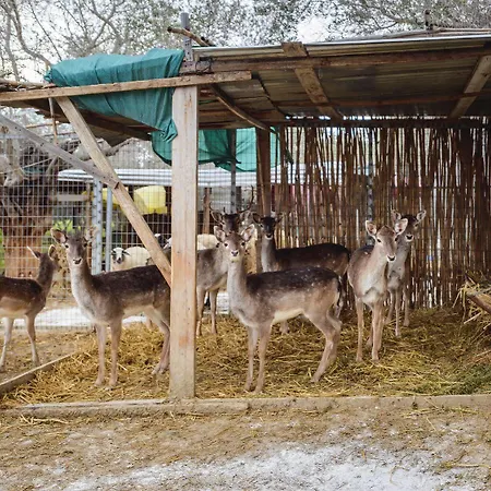 빌라 Hadjios Valley 마조토스