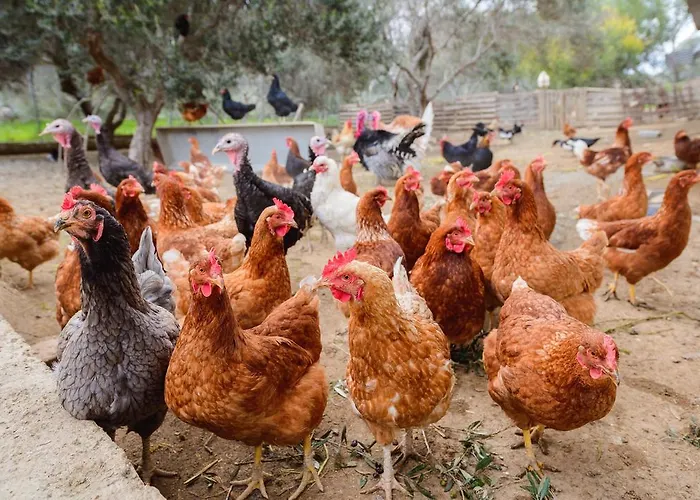 ヴィラ Hadjios Valley *