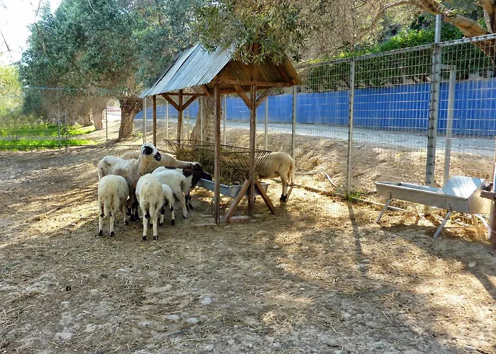 Hadjios Valley ヴィラ *