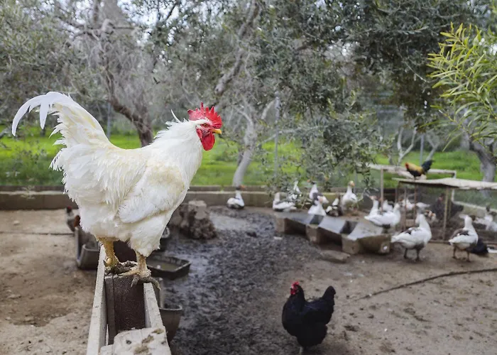Hadjios Valley מזוטוס