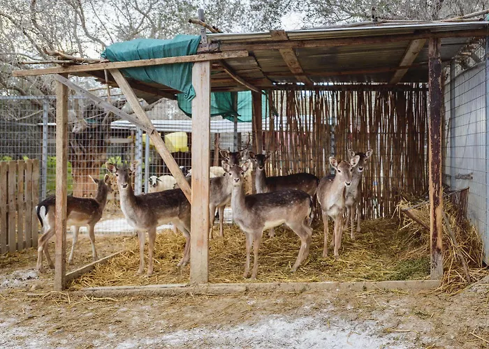 ヴィラ Hadjios Valley マゾトス